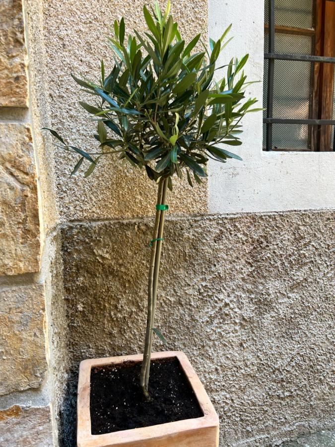 Seayou!***Charming 1-Bedroom Rental Unit In The Old City Center Of קרס מראה חיצוני תמונה